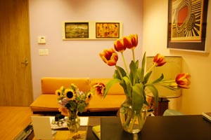 Dr. Swerdloff's office: waiting room